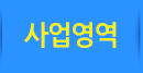사업영역